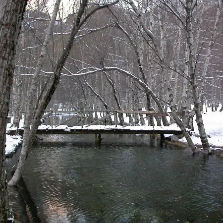 Flat Mountain View 公寓 *