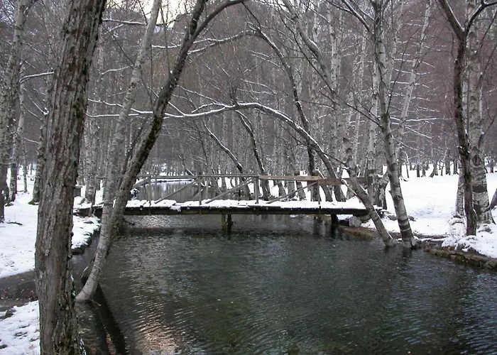 Flat Mountain View アパート *