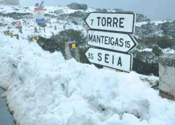 Flat Mountain View セイア